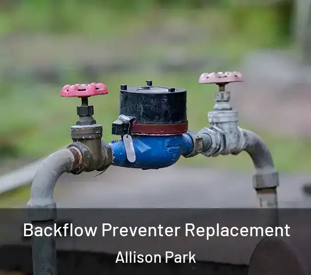 Backflow Preventer Replacement Allison Park
