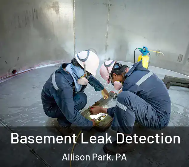  Basement Leak Detection Allison Park, PA