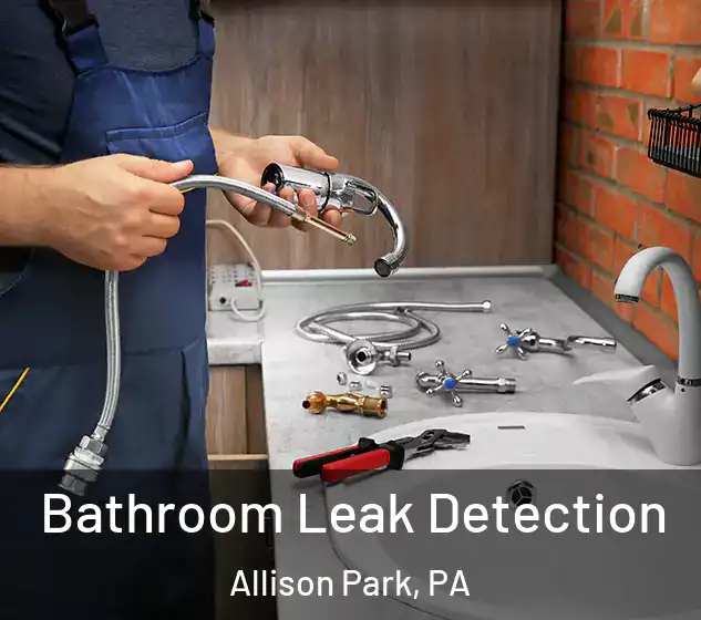  Bathroom Leak Detection Allison Park, PA