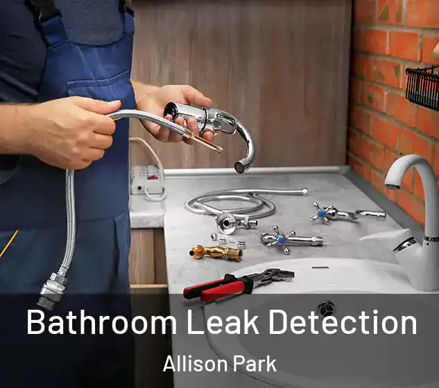  Bathroom Leak Detection Allison Park