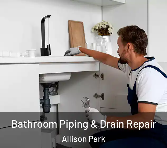  Bathroom Piping & Drain Repair Allison Park