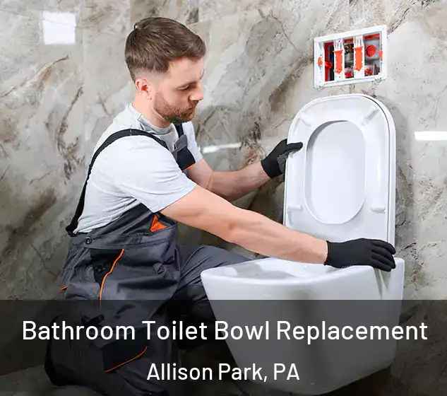  Bathroom Toilet Bowl Replacement Allison Park, PA