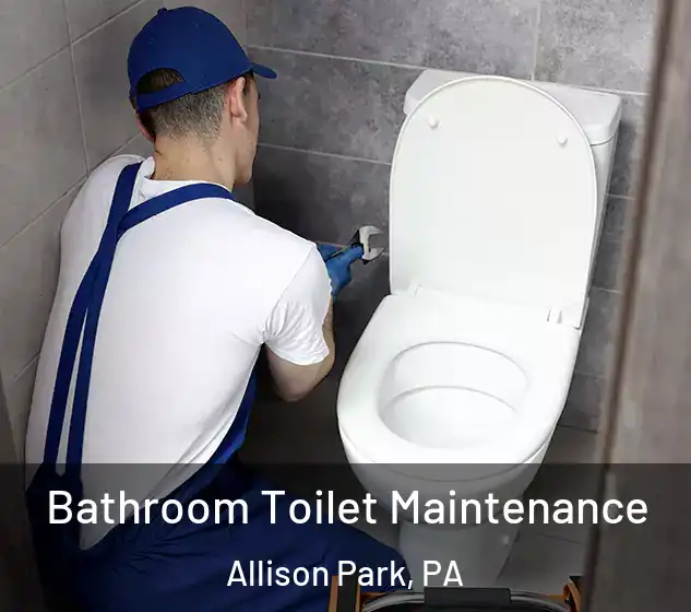  Bathroom Toilet Maintenance Allison Park, PA