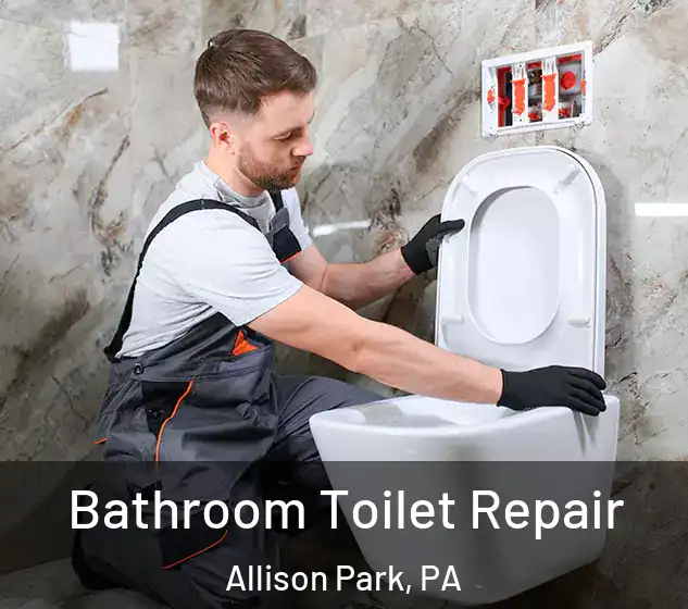  Bathroom Toilet Repair Allison Park, PA