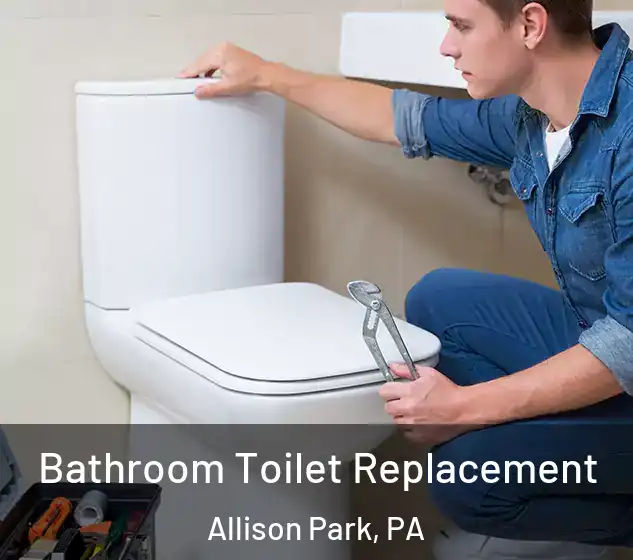  Bathroom Toilet Replacement Allison Park, PA
