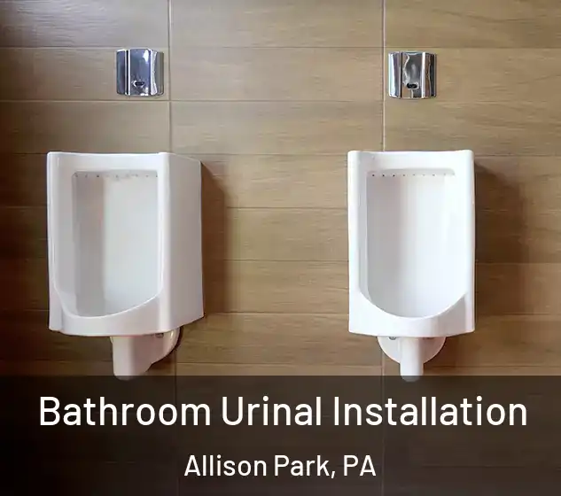  Bathroom Urinal Installation Allison Park, PA