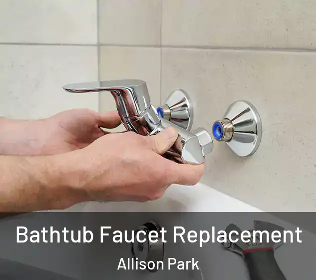  Bathtub Faucet Replacement Allison Park