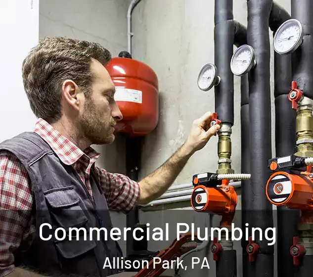  Commercial Plumbing Allison Park, PA