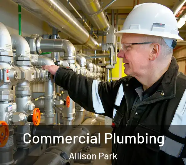  Commercial Plumbing Allison Park
