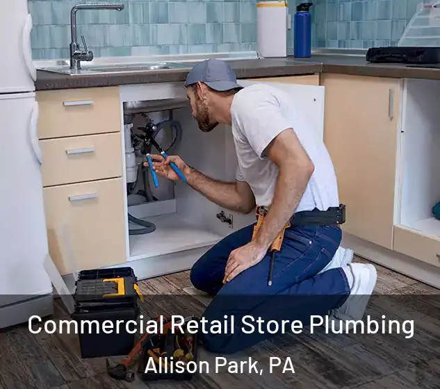  Commercial Retail Store Plumbing Allison Park, PA