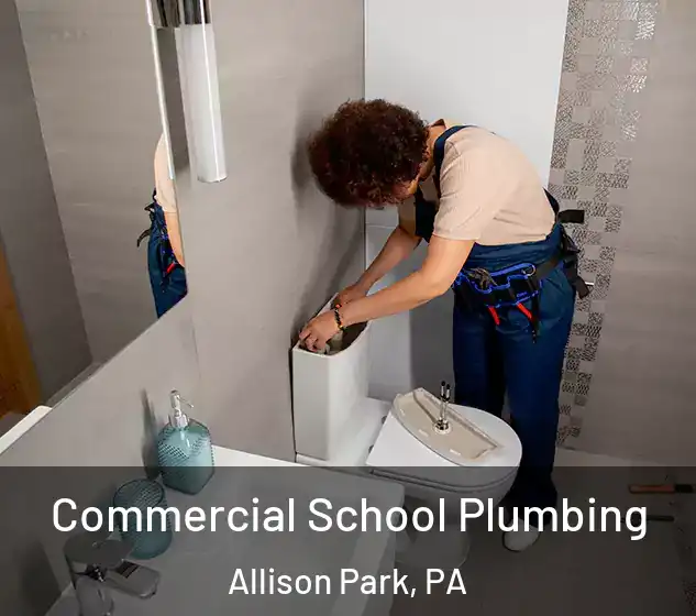  Commercial School Plumbing Allison Park, PA