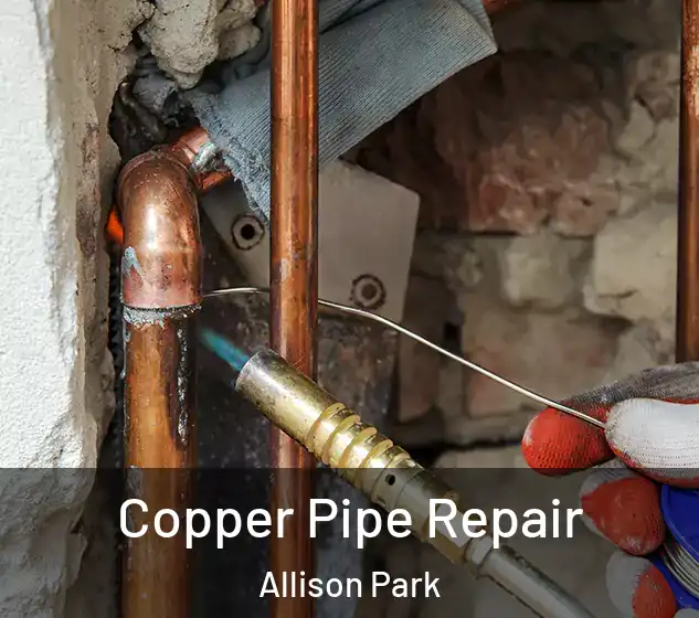  Copper Pipe Repair Allison Park