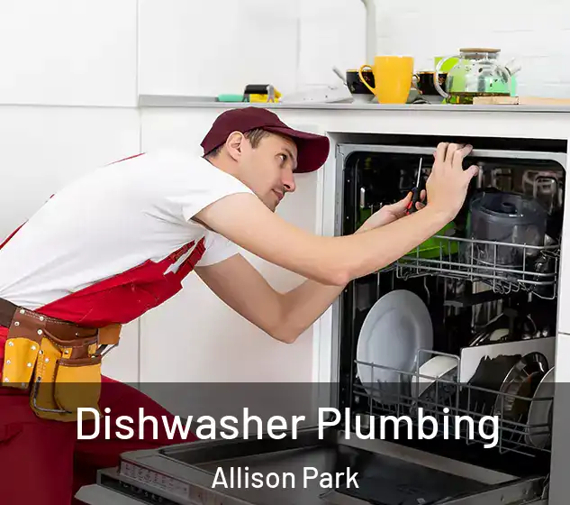  Dishwasher Plumbing Allison Park