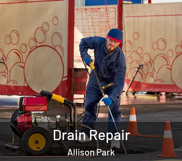  Drain Repair Allison Park