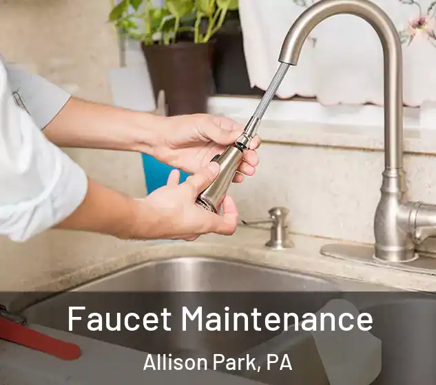 Faucet Maintenance Allison Park, PA