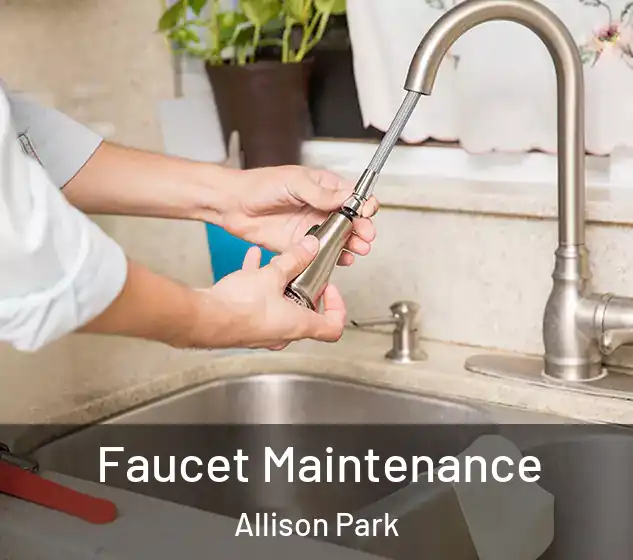  Faucet Maintenance Allison Park