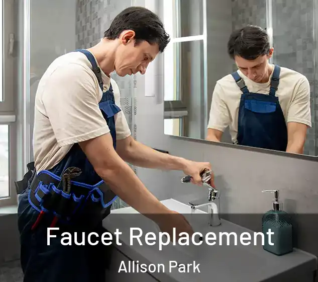  Faucet Replacement Allison Park