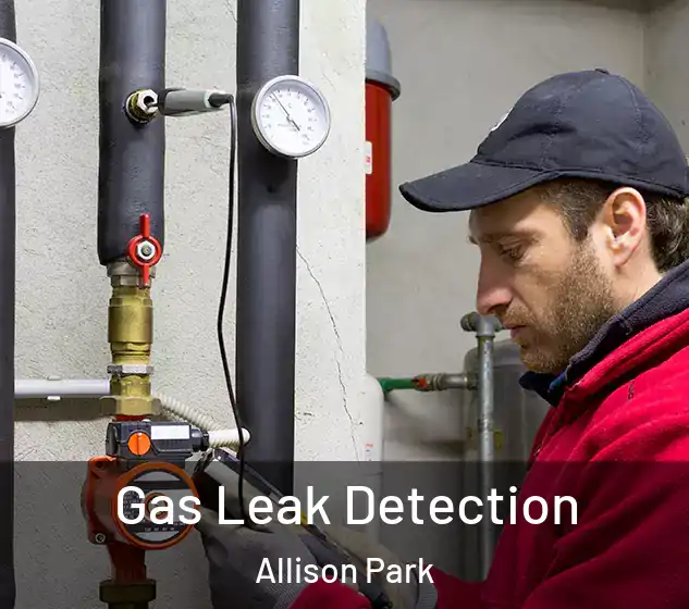  Gas Leak Detection Allison Park