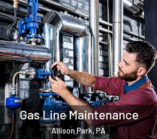  Gas Line Maintenance Allison Park, PA