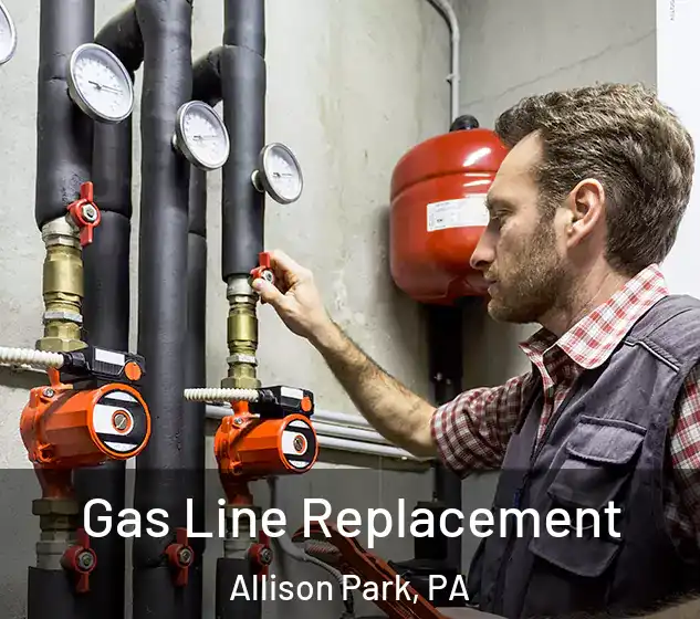  Gas Line Replacement Allison Park, PA