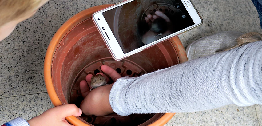 Scope of Drain Camera Inspection Services in Allison Park, PA