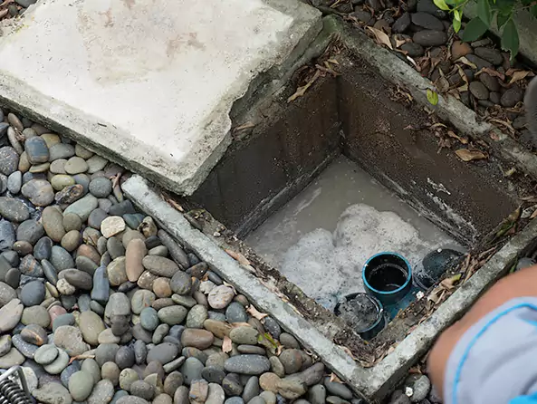 Why Allison Park Plumbing is the First Choice for Kitchen Grease Trap Cleaning Services in Allison Park, PA?