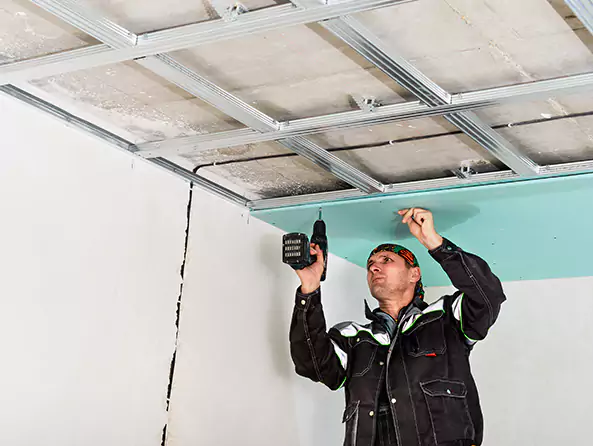 Why Allison Park Plumbing is the First Choice for Roof & Ceiling Leak Detection Services in Allison Park, PA?