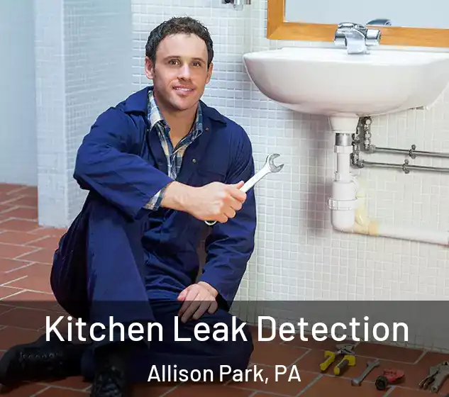  Kitchen Leak Detection Allison Park, PA