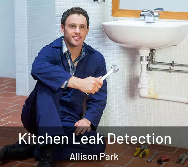  Kitchen Leak Detection Allison Park