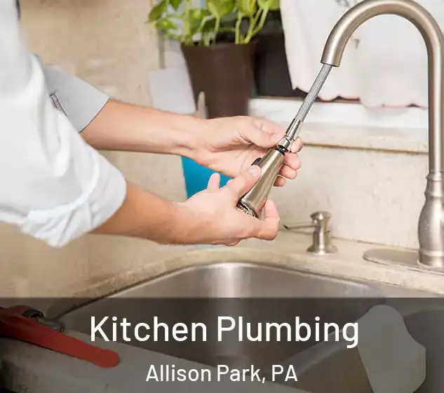  Kitchen Plumbing Allison Park, PA