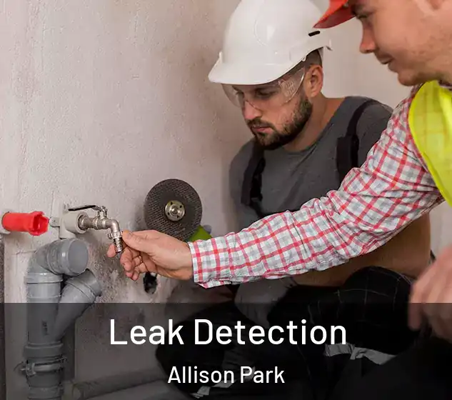  Leak Detection Allison Park