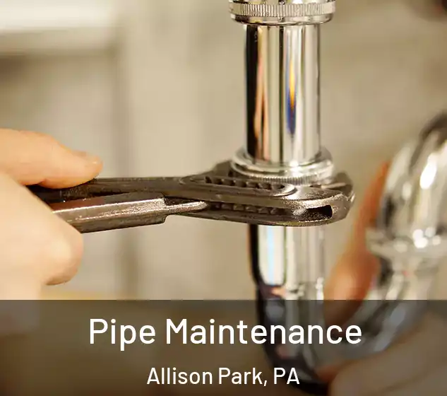  Pipe Maintenance Allison Park, PA