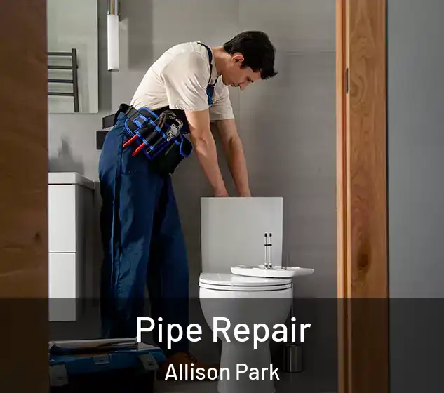  Pipe Repair Allison Park