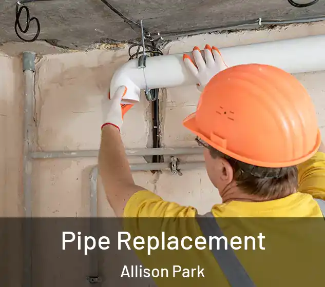  Pipe Replacement Allison Park