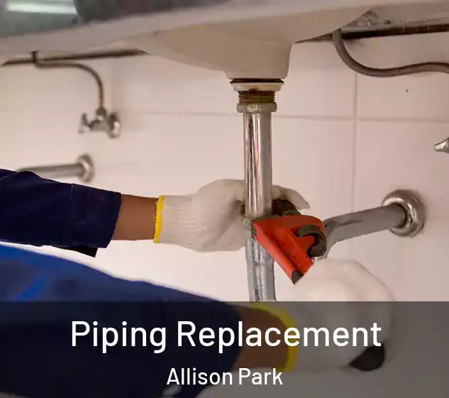  Piping Replacement Allison Park