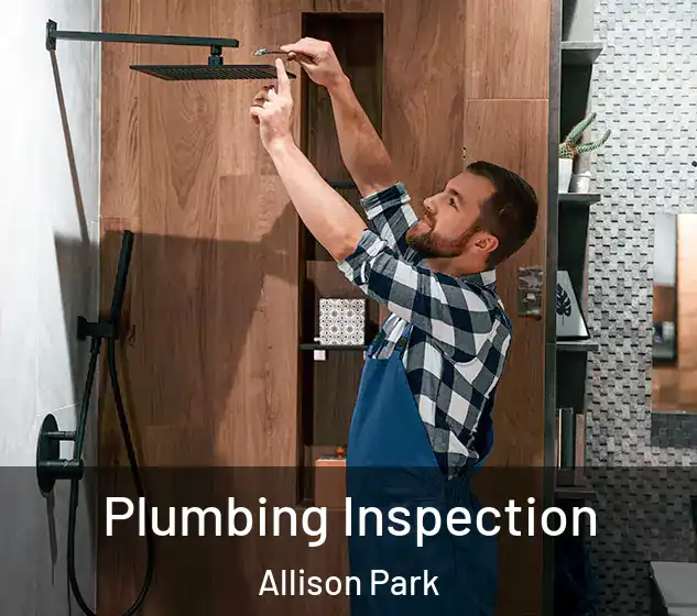  Plumbing Inspection Allison Park