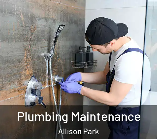  Plumbing Maintenance Allison Park