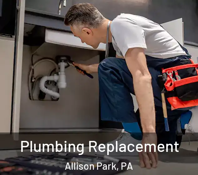  Plumbing Replacement Allison Park, PA