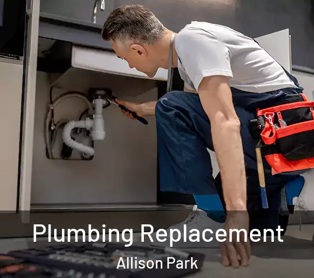  Plumbing Replacement Allison Park