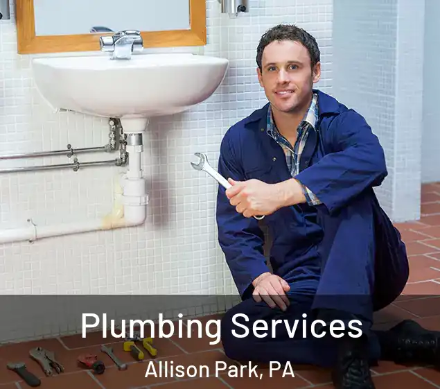  Plumbing Services Allison Park, PA