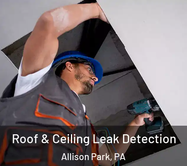  Roof & Ceiling Leak Detection Allison Park, PA