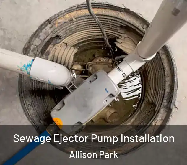  Sewage Ejector Pump Installation Allison Park