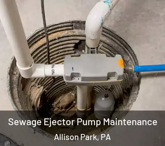  Sewage Ejector Pump Maintenance Allison Park, PA