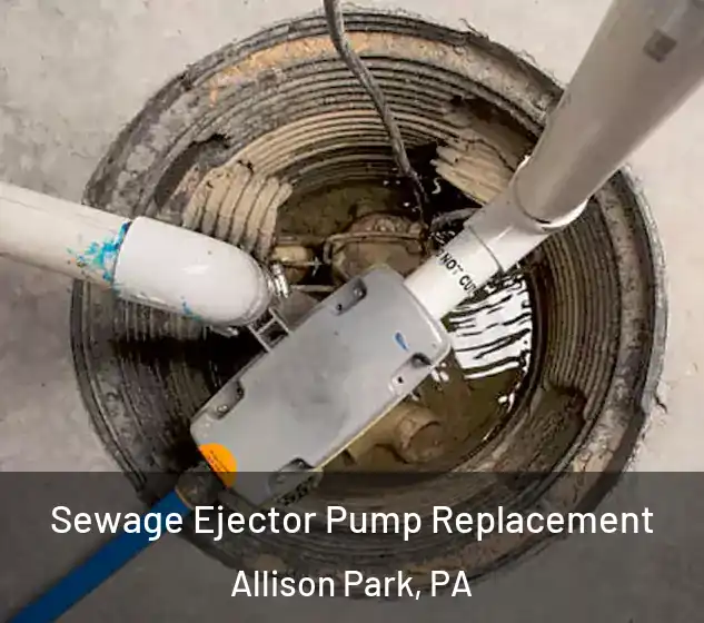  Sewage Ejector Pump Replacement Allison Park, PA