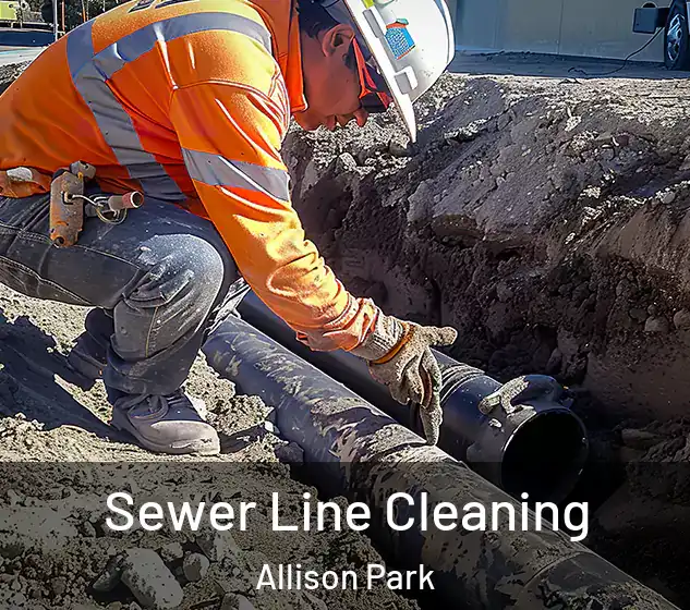  Sewer Line Cleaning Allison Park