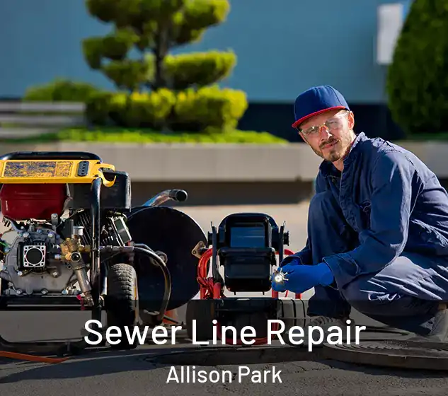  Sewer Line Repair Allison Park