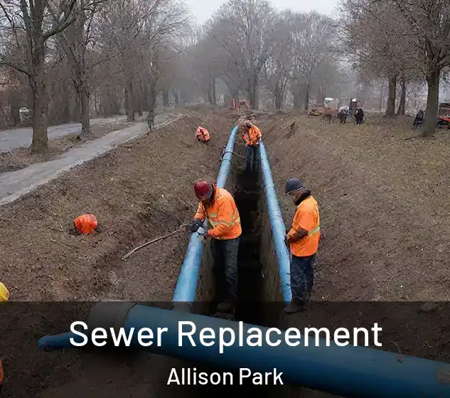  Sewer Replacement Allison Park
