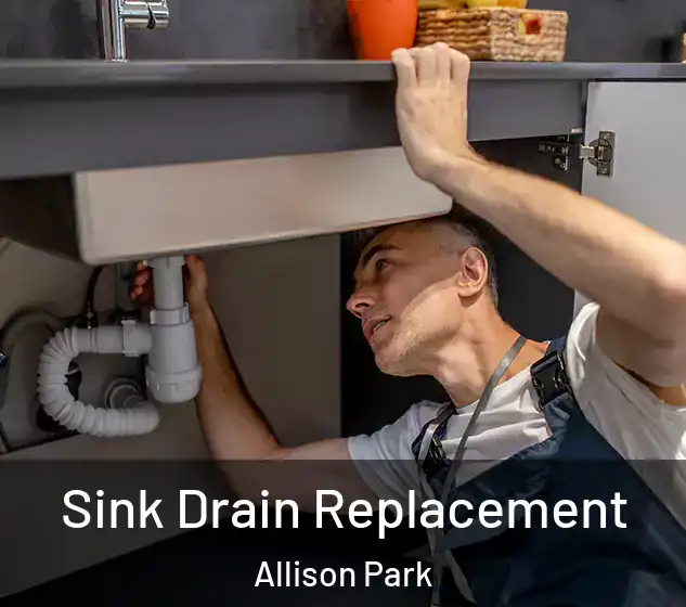  Sink Drain Replacement Allison Park
