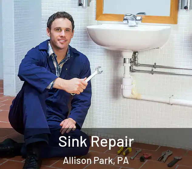 Sink Repair Allison Park, PA