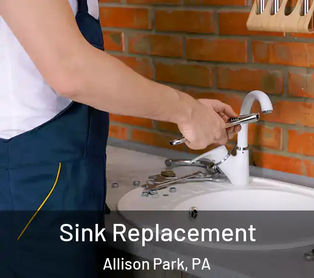  Sink Replacement Allison Park, PA